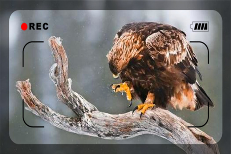 一个快50岁的人创业,一个50岁创业失败者