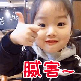 2023定期寿险怎么买最合适,定期寿险怎么选购