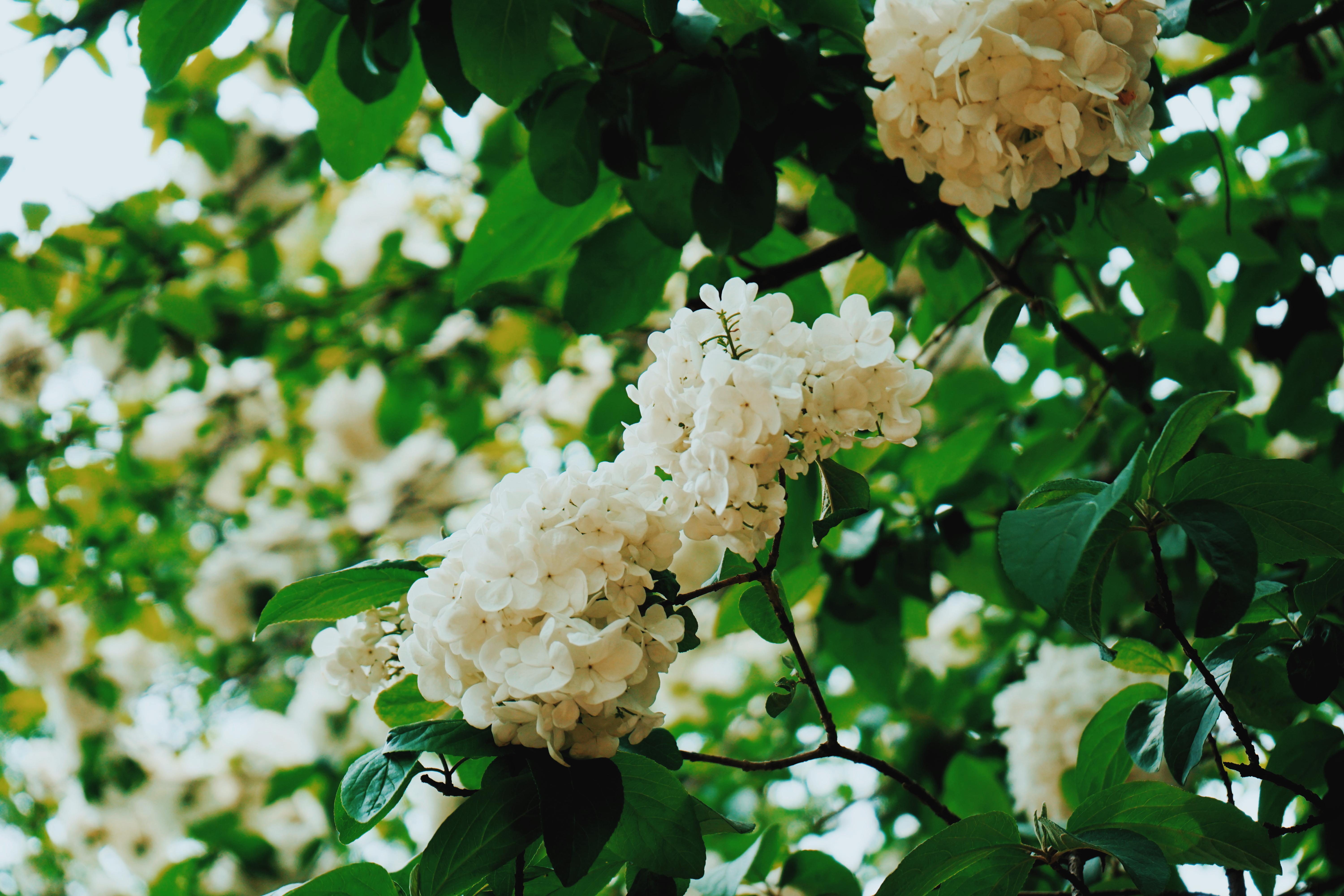 森林公园清凉山,清凉山一道美丽的风景线