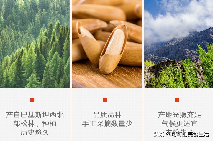 哪种牌子松子最好,各品牌松子测评