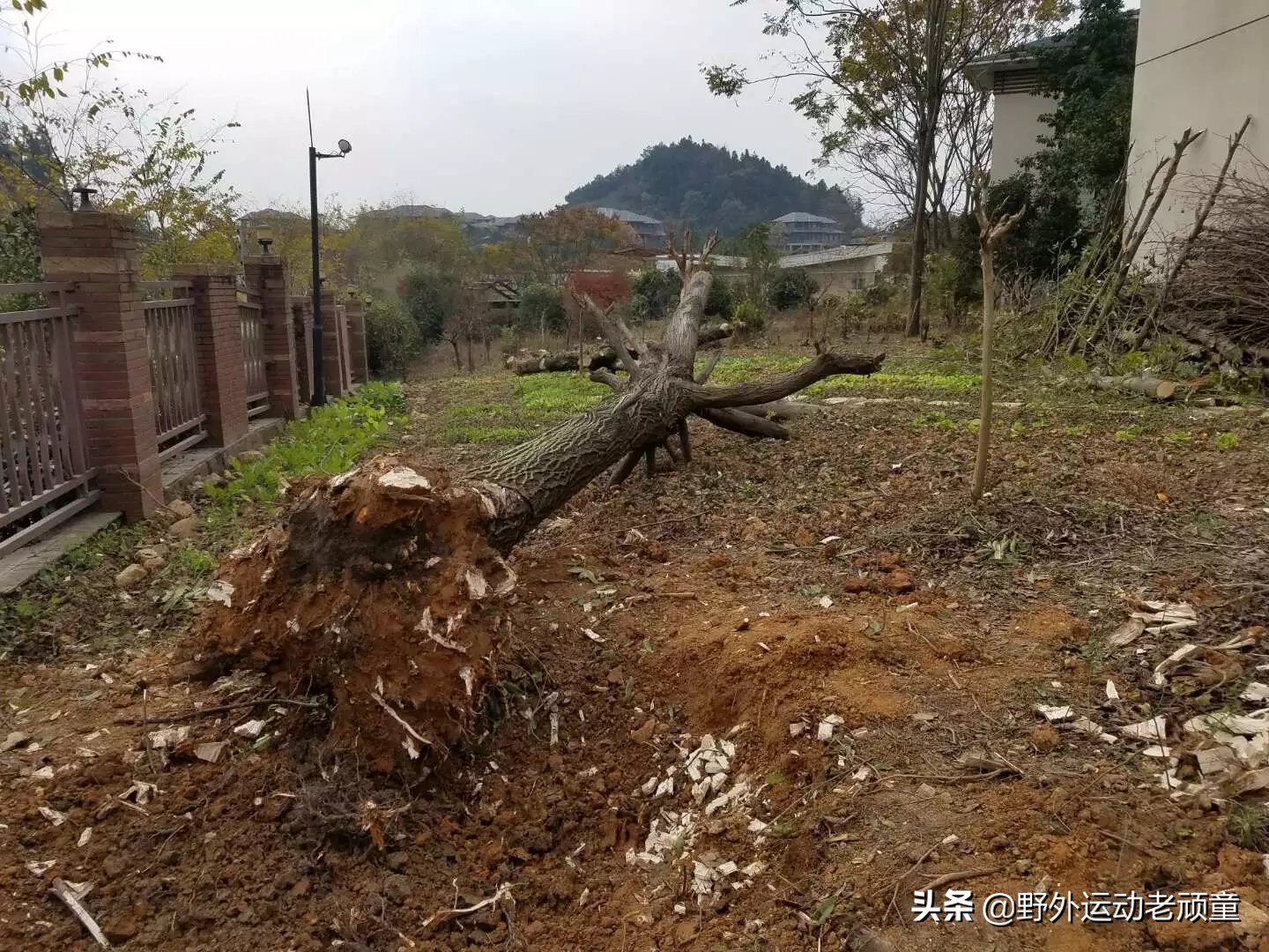 幸福家园打造记之——DIY的数十个根雕“出山”记