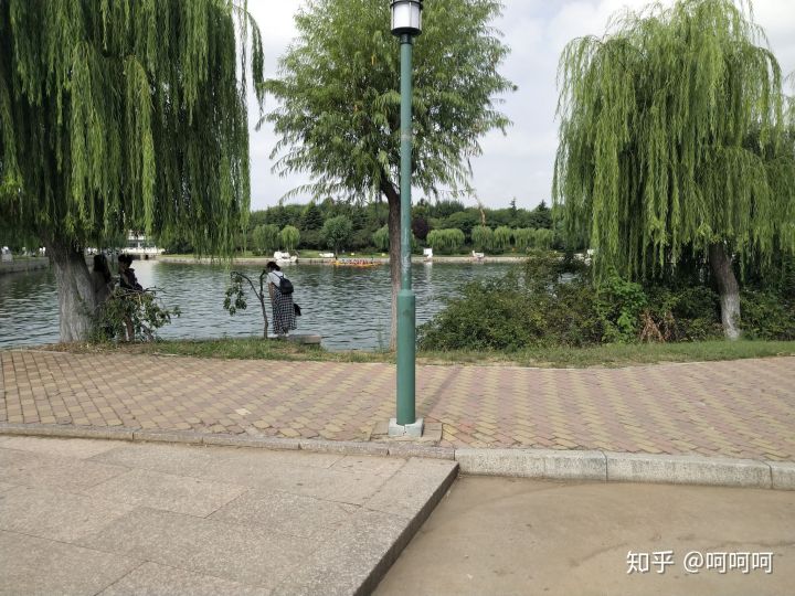 青岛农业大学机械类在哪里就读,青岛农业大学在哪里读