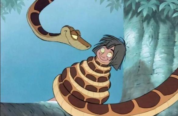 大蟒蛇正面突袭结果吓得一身冷汗,遭遇大蟒蛇如何脱险