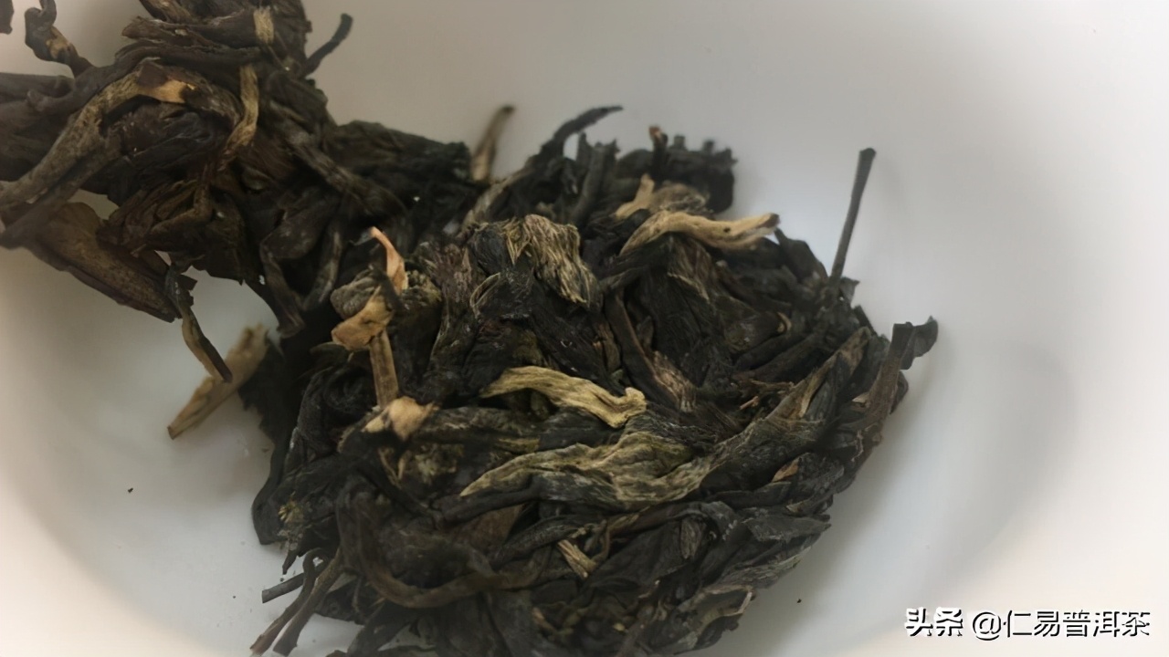 普洱茶基础知识大全你真的了解吗,普洱茶知识科普从入门到高手