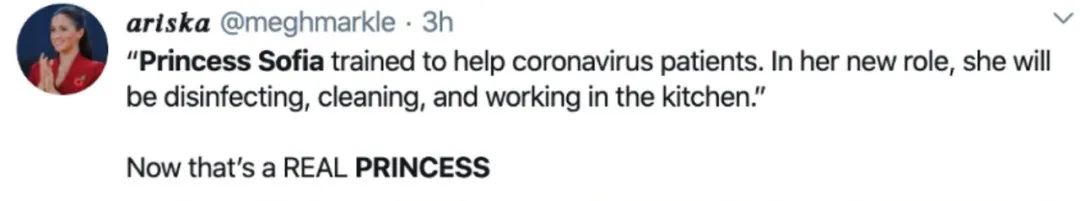 瑞典王妃抗疫,瑞典王妃加入抗疫