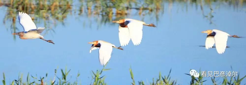 七分钟带你领略大美乌拉特前旗 (带你去看乌拉特前旗)