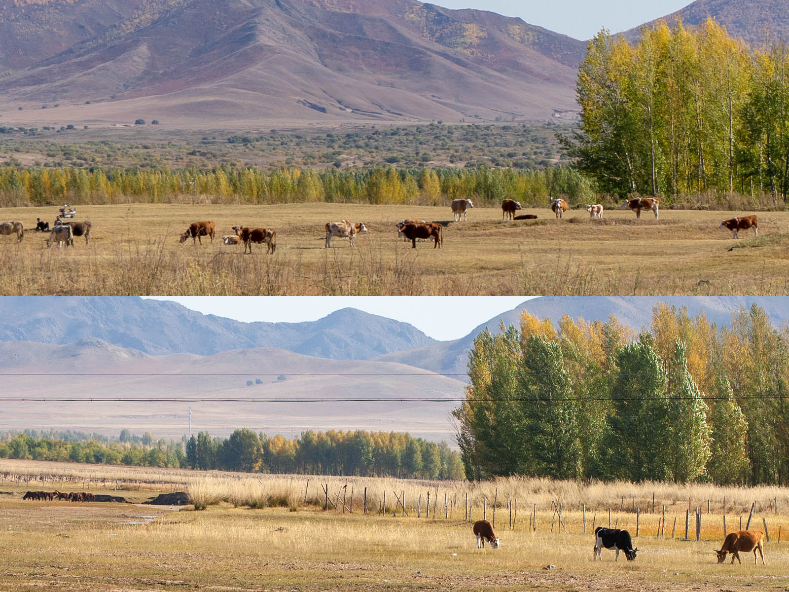 实测证明廉价变焦镜头，对于有追求的旅行者，有没有使用价值？