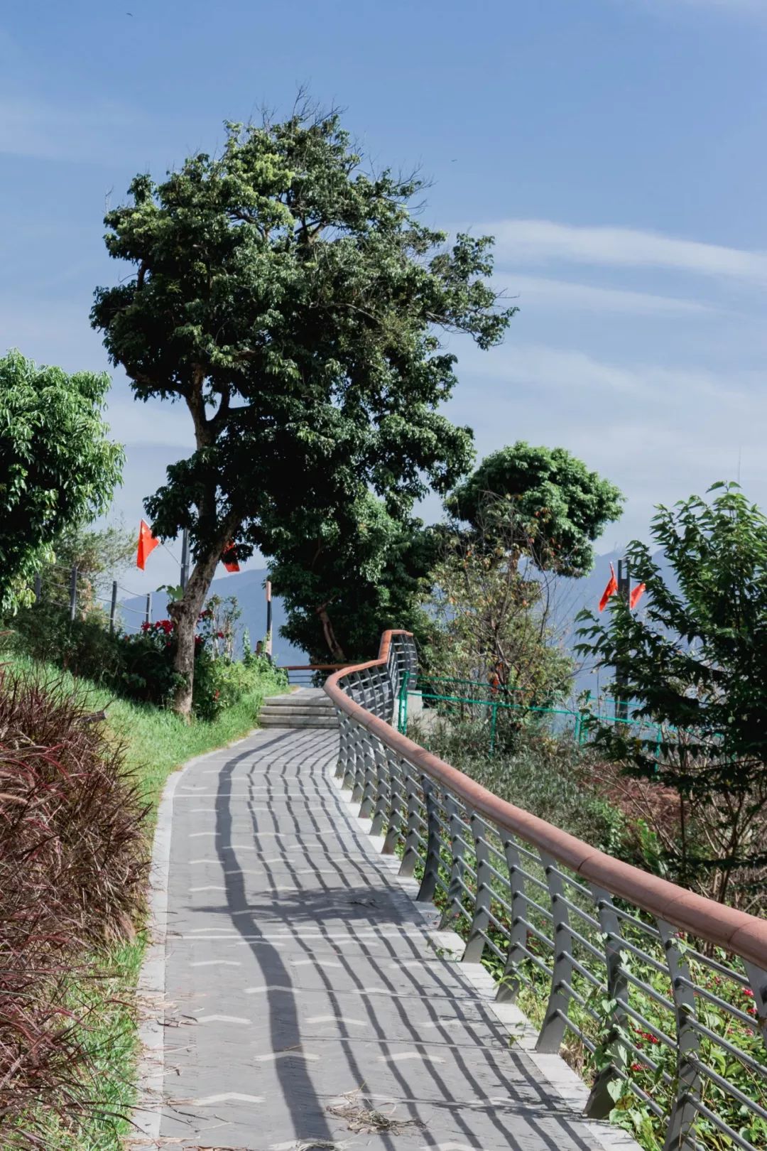 又发现深圳一个“绝美打卡地”!“淘金”绿道,人少免费