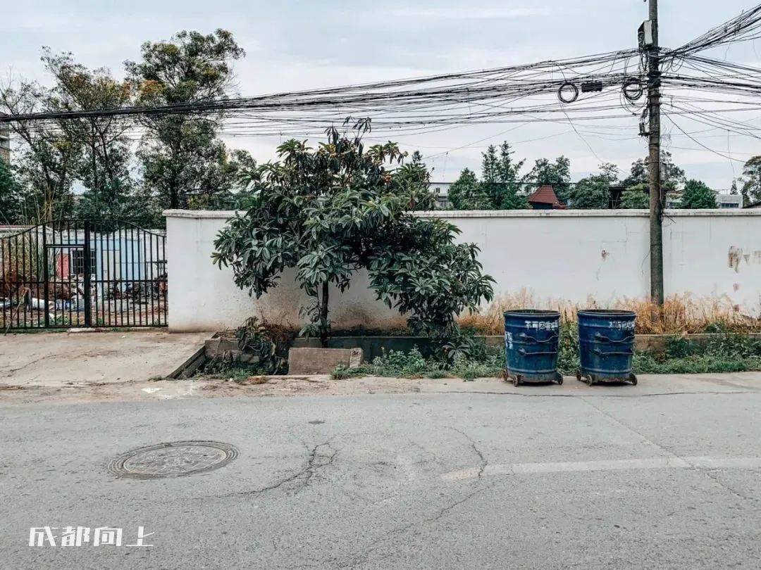 新繁=心烦？？曾经的五强县为何沦落到这种地步？