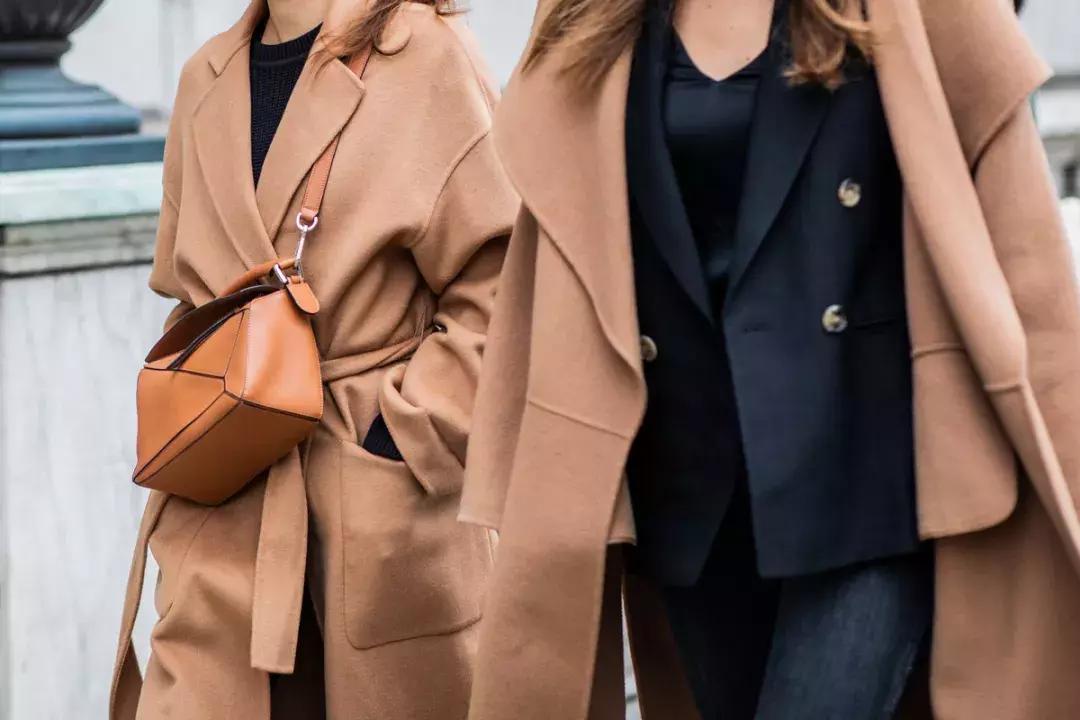 种草菇需要做什么,种草菇需要啥