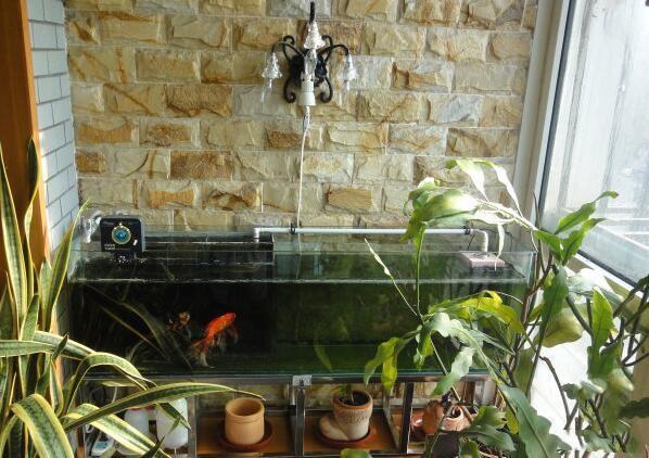 庭院不建鱼池直接放鱼缸设计效果,阳台做水池假山养鱼