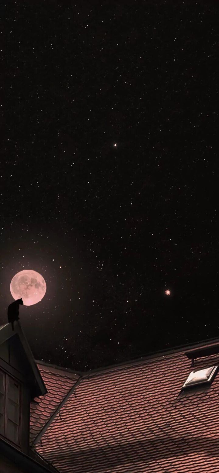 第一眼就惊艳你的短句说说,哪些一眼就惊艳到你的短句