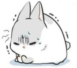 兔子做过什么不可思议的事,当兔子遇到小主人会怎样