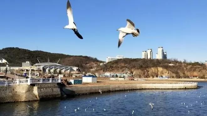 深圳市最长海滨栈道,中国最长海滨栈道