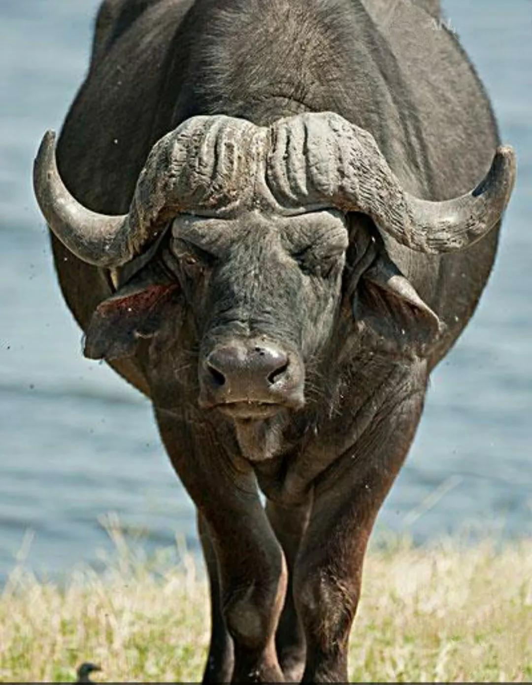 春天里的致敬,春天里的致敬合拍