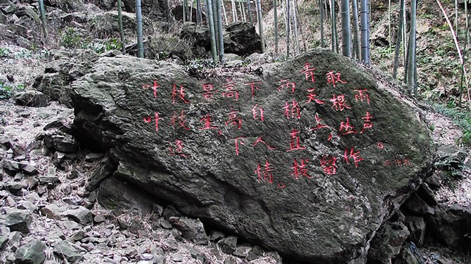 宜兴竹海山顶华南第一峰,宜兴华东第一竹海