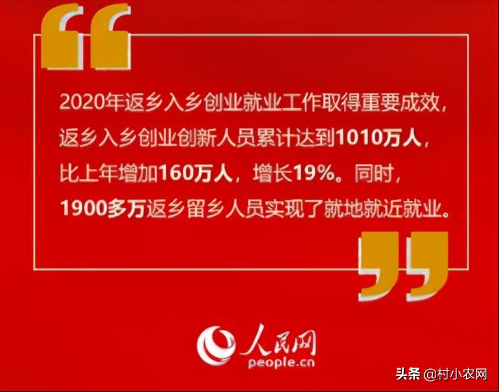农民回乡种田种植粮食发展养殖,农村女大学毕业回乡创业养殖