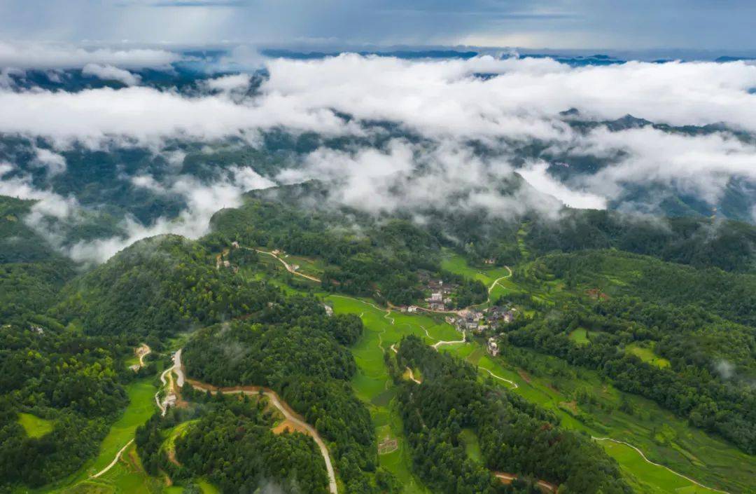 开阳电子商务公共服务中心,贵州开阳王车村