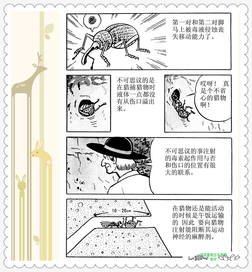 昆虫记法布尔动画片,昆虫记法布尔全套