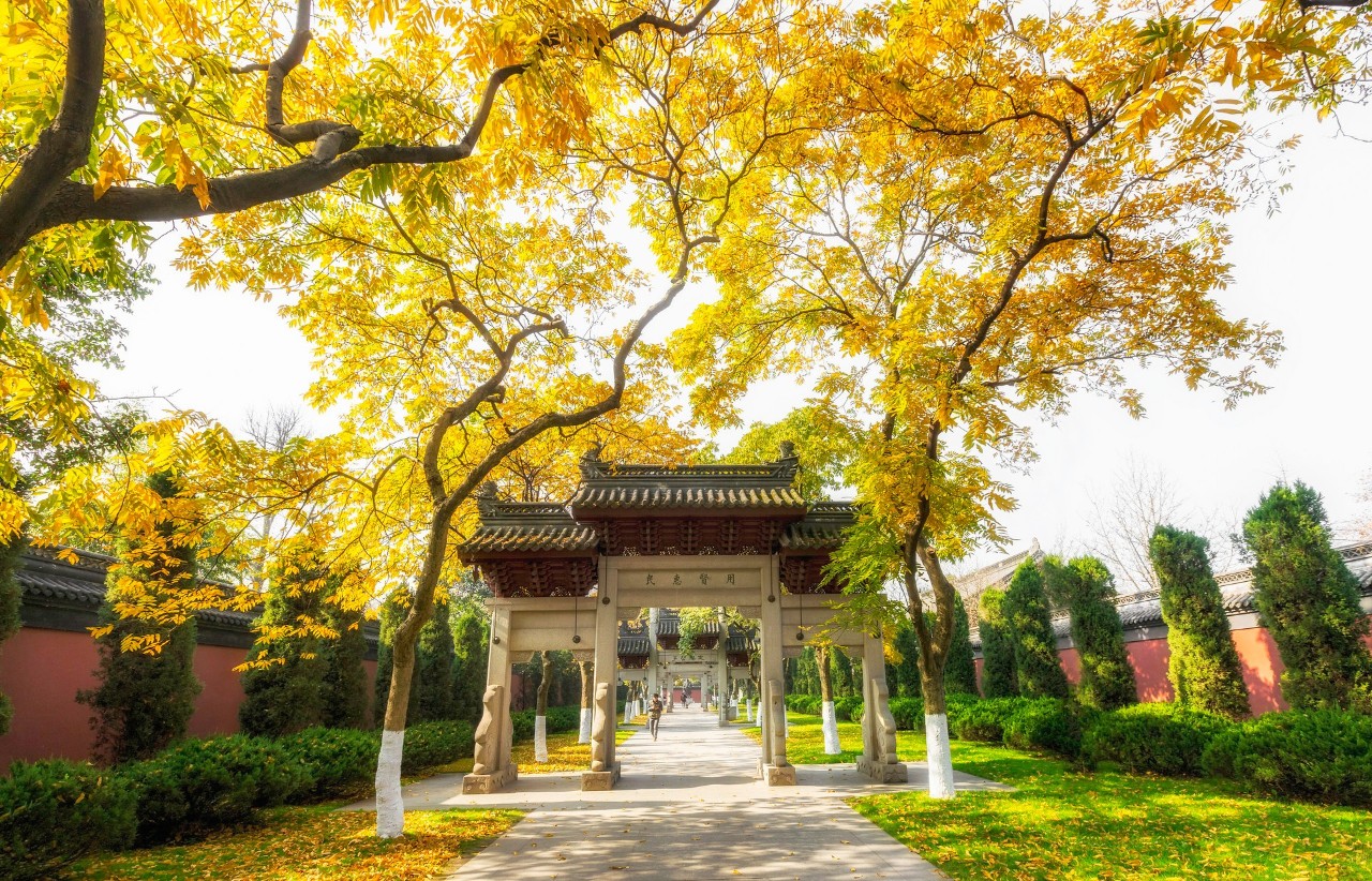 宋词最深情的十句最有名的诗句,十句最深情的诗词古文