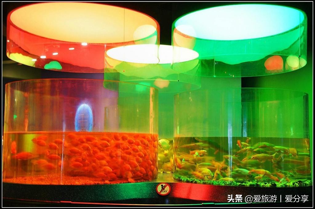 上海科技馆游玩攻略,景点打卡上海科技馆