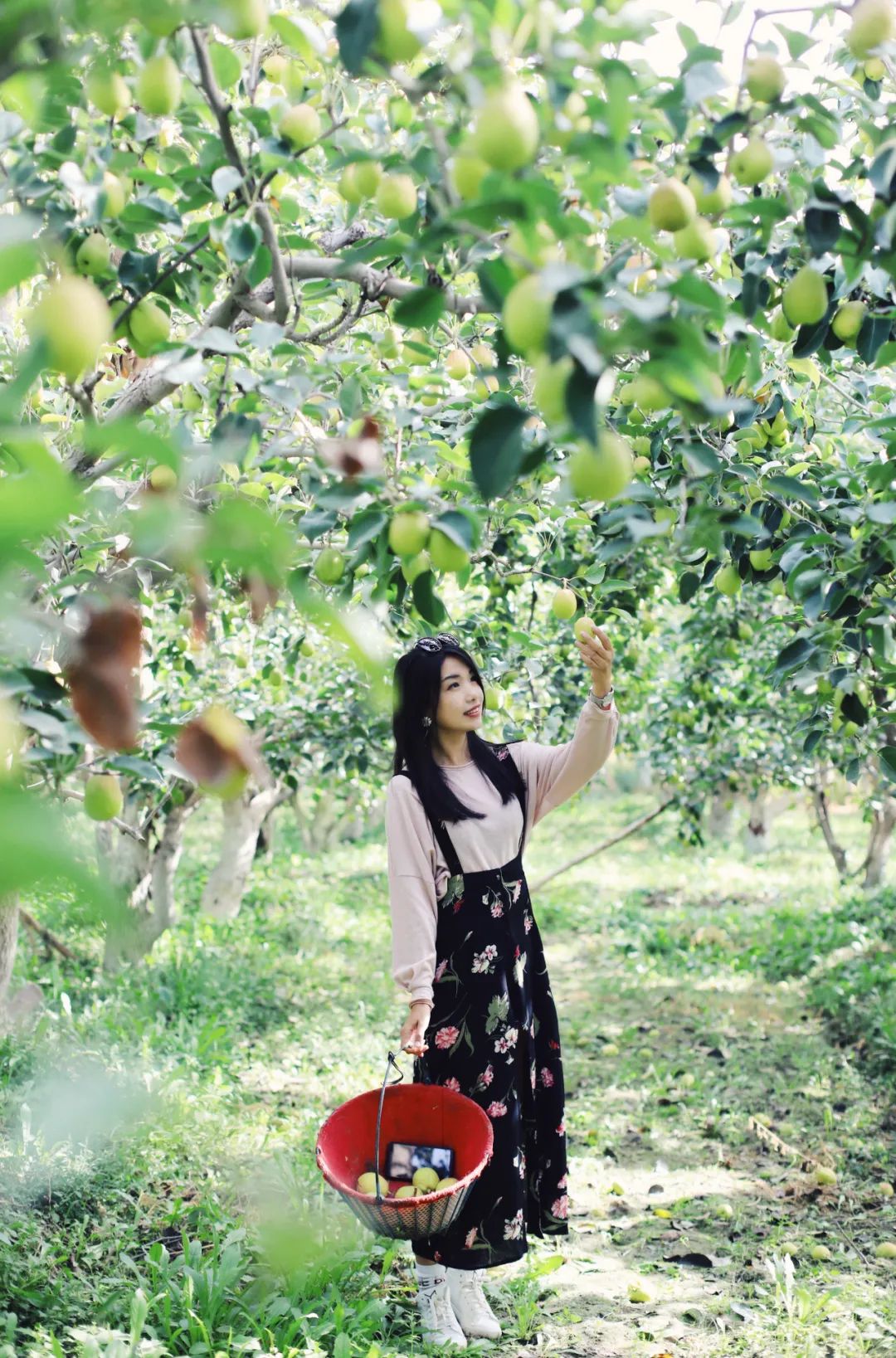 苏州女子探秘南疆巴州：这是一处色彩的世界，超出你的想象