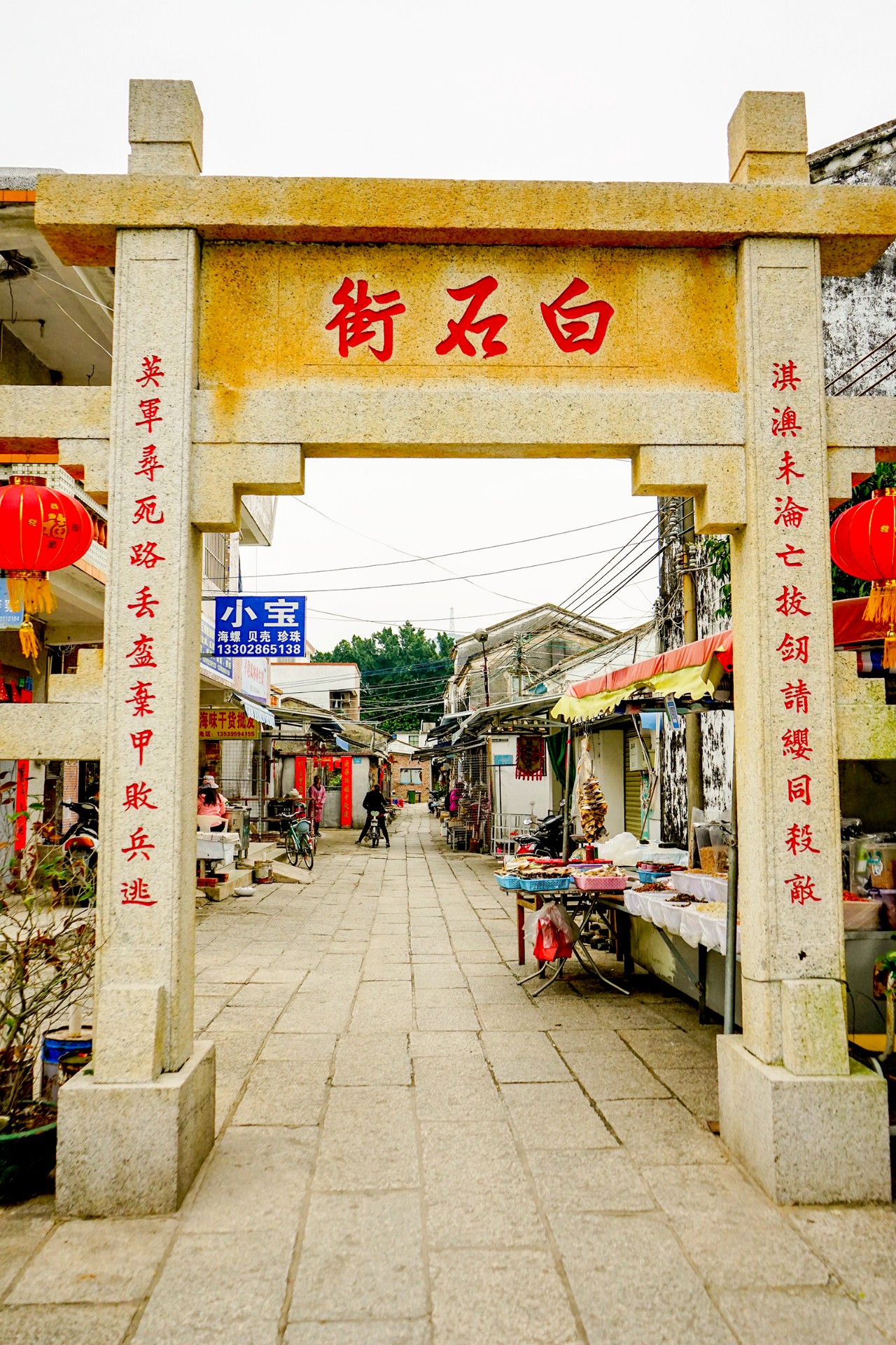 海导书|珠海·淇澳岛超干干干货攻略！一册带走，立马上海岛