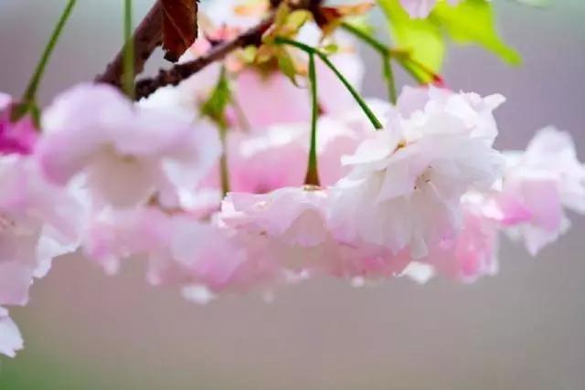 让你醍醐灌顶的一句话，句句实诚，总有一句是你最喜欢的！