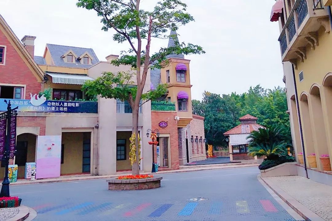 广州拍照好看的地方情侣,广州适合女孩子拍照的地方