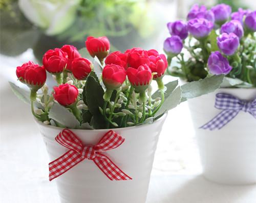 养花让生活充满生机,养花给家里增添一点生机