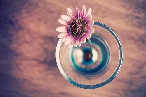 年底了还有什么事没有完成,年底了什么都不能想了