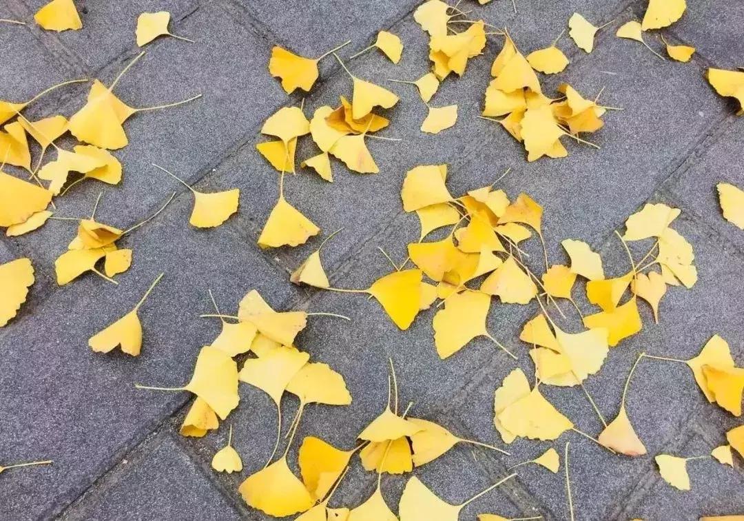 汉台半日游,汉台区一日游