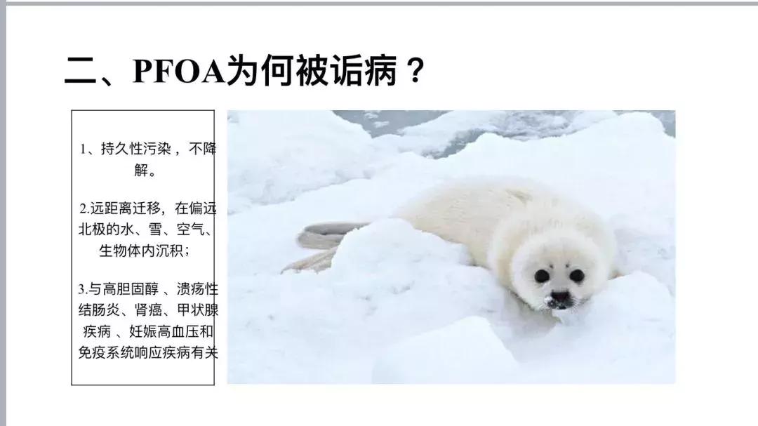 这个沙龙,错过了现场还能错过现场回顾?