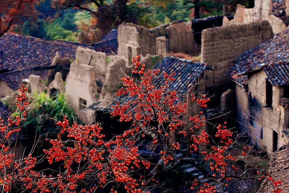 浙江有什么小众景点,绝美浙江小众旅行