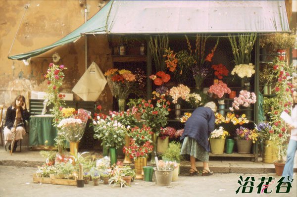 如何开一家花店赚钱,如何开一家花店咖啡店