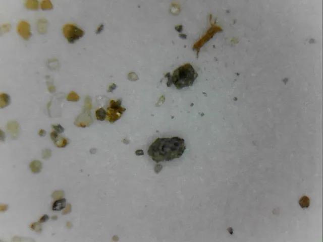 月海玄武岩内部结构图,月海玄武岩有磁性吗