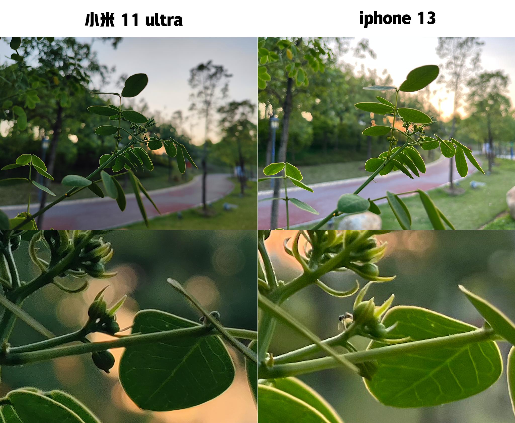 为何我的iphone13检测不到最新版本,iphone13定位从哪看