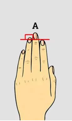 无名指比食指长一定是聪明的人吗,食指与无名指比例决定你的吸引力