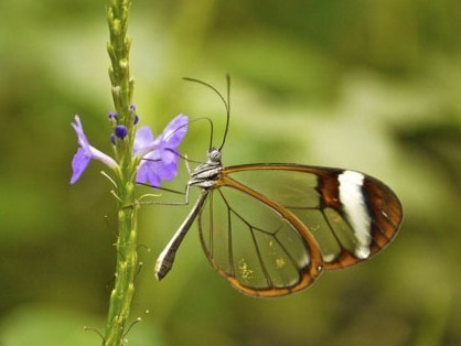 从磁带到CD，从MP3到智能音箱，音乐*放播**器暴露你的年龄