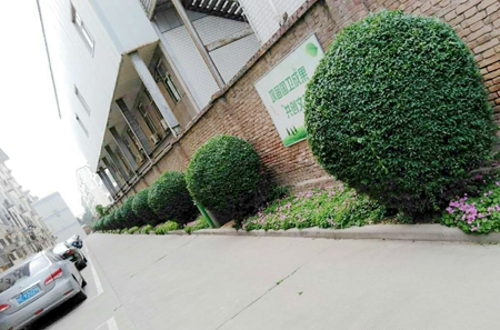 最美环卫工作者,最美保洁绿化人