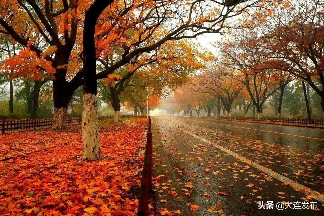 醉美邛崃招工,旅顺太阳沟招聘