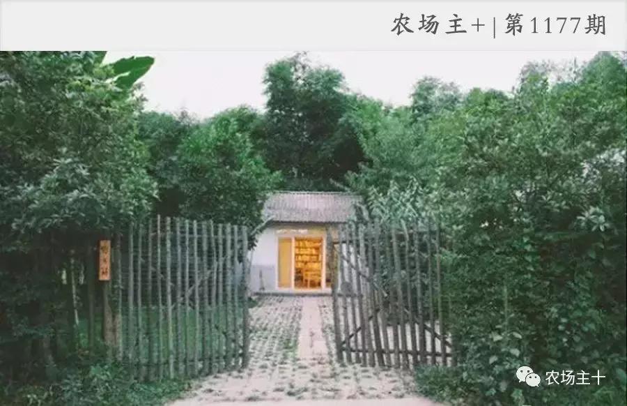 改造山野小院记录田园生活,花4万块钱改造的小院