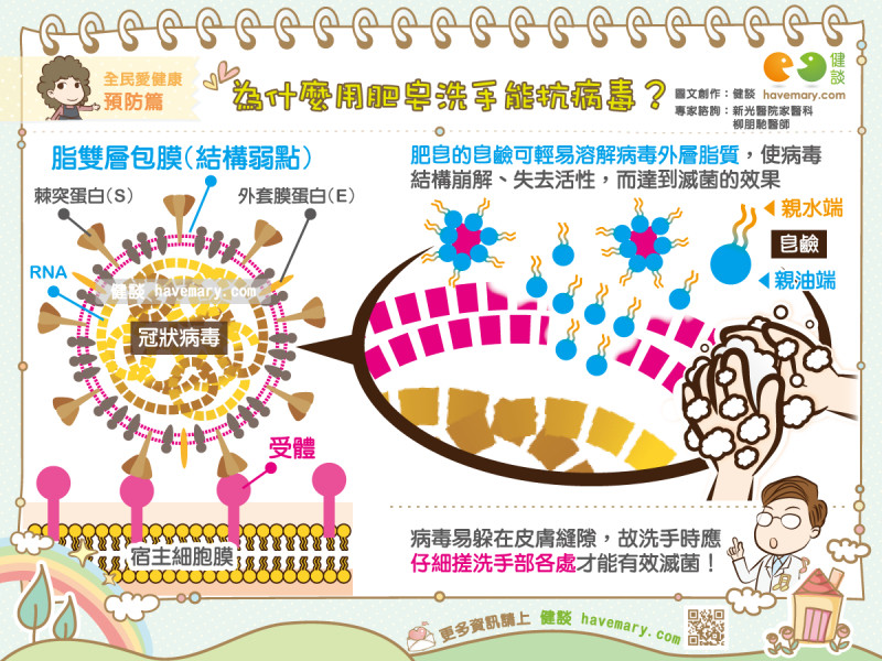 为什么用肥皂洗手就能消除病毒,肥皂洗手能洗掉新冠病毒吗