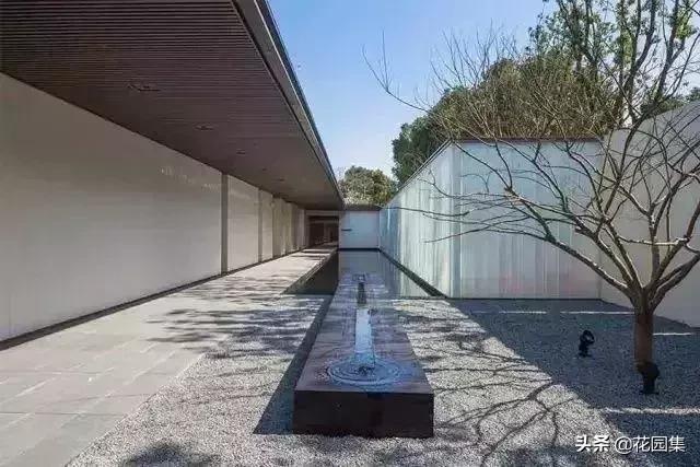 小小庭院看风景,诗意小庭院