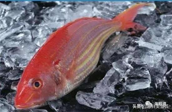 102种海鲜,营养丰富的海鲜有哪些品种