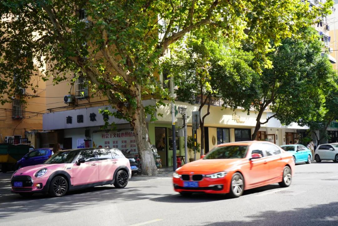 南京版“武康路”火了！藏在市区的南台巷到底有多少宝藏？