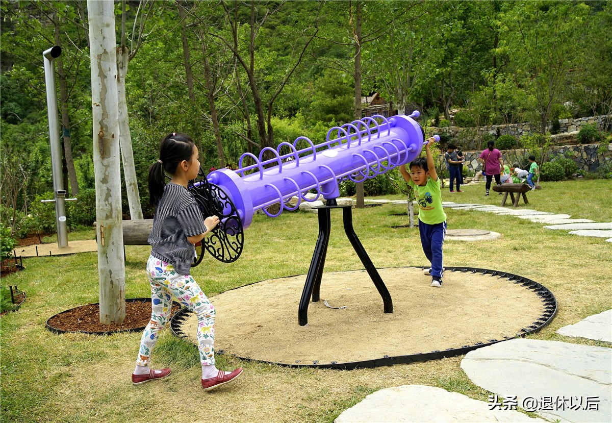 森林中的童话树屋,原始森林里的童话世界