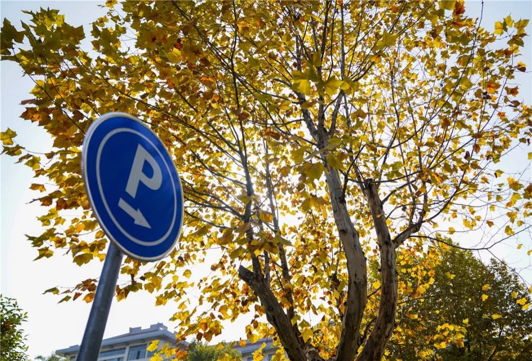 思源学院美景照片,西安思源学院秋景色