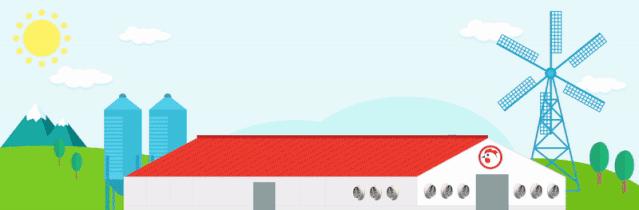 超生动|家禽生殖系统结构和禽蛋形成过程