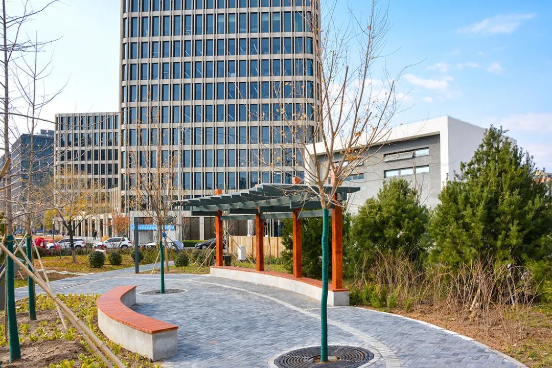 北京新开40个公园在哪里,北京十佳公园